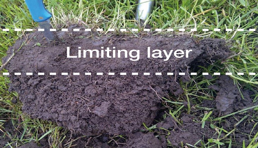 soil profile showing a limiting layer (moderate condition) near the top